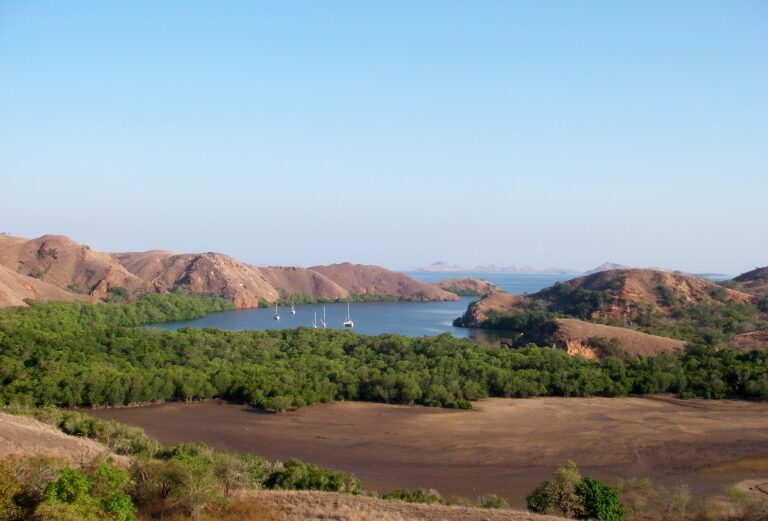 pulau komodo